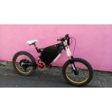 Motor 3000W MXus or.
